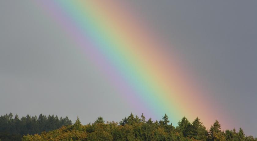 Fewo Harz Haennig 1 Wieda Cameră foto